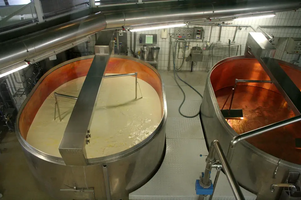 Two stainless steel and copper cheese vats filled with milk in a dairy