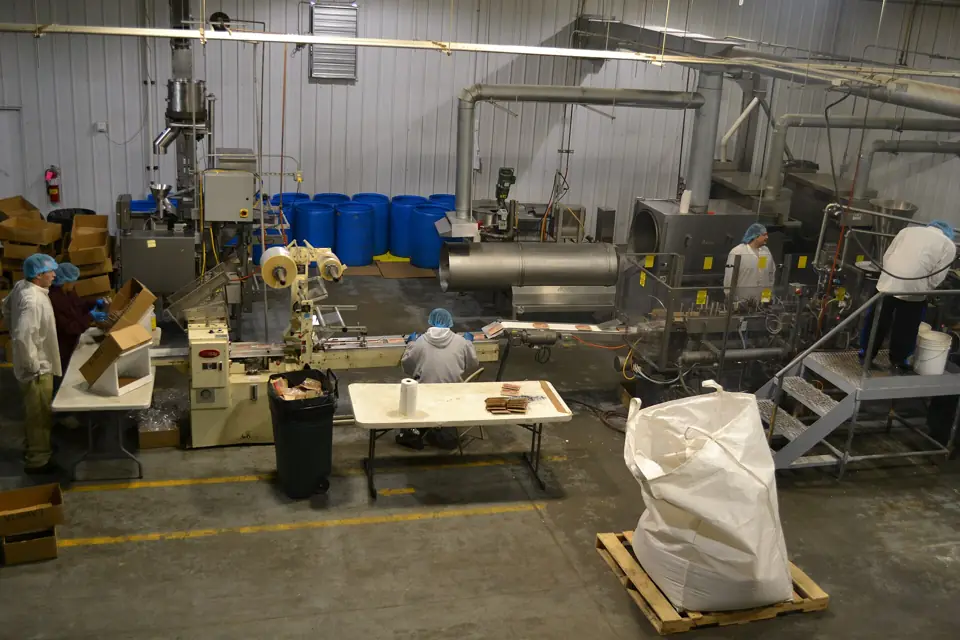 Workers in hairnets operating a food production and packaging line